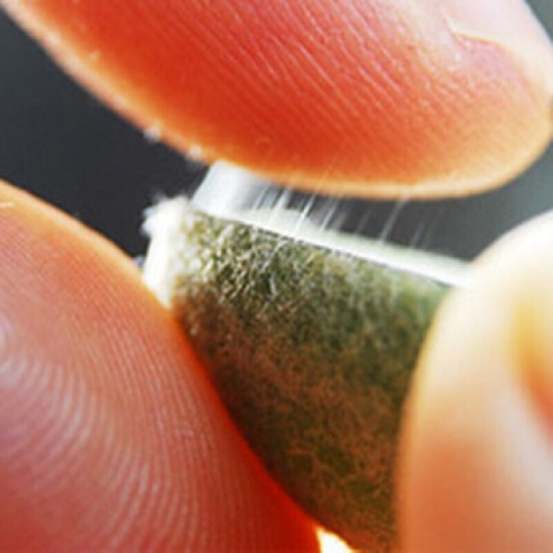 시골장터,백두대간건강나라,가시오가피,여주즙,가시오가피즙,건강즙,양배추브로콜리즙,돼지감자즙,개복숭아즙,개복숭아엑기스,레드비트즙,가시오가피,레드비트,생여주,개복숭아,건강식품,